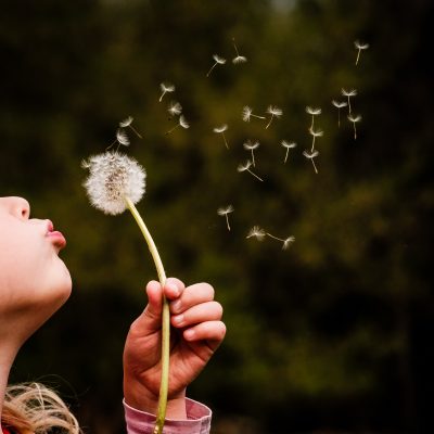 ivan-dostal-z6ZPLcDTKOY-unsplash Pusteblume mit Kind